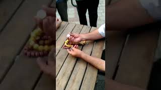 Arapları Dolandıran Sülün Hakkı Dayı