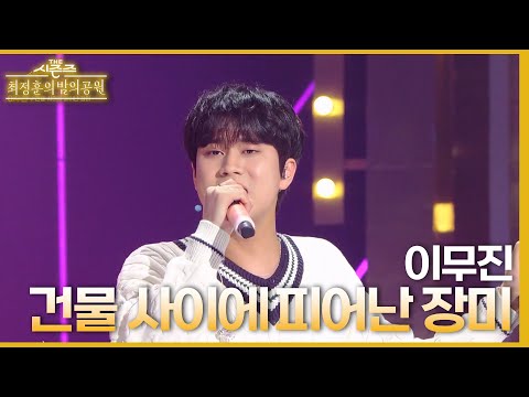 건물 사이에 피어난 장미 Rose Blossom 이무진 더 시즌즈 최정훈의 밤의공원 KBS 230521 방송