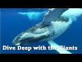 The giants of rurutu  our oceans  free documentary