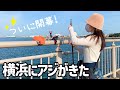 横浜アジついに開幕！巨大魚の大群を掻き分け、試行錯誤の末にアジが釣れた！
