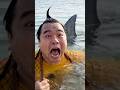 海に潜む影…それは本物のサメか、それとも? #コメディ #サメ #ドッキリ
