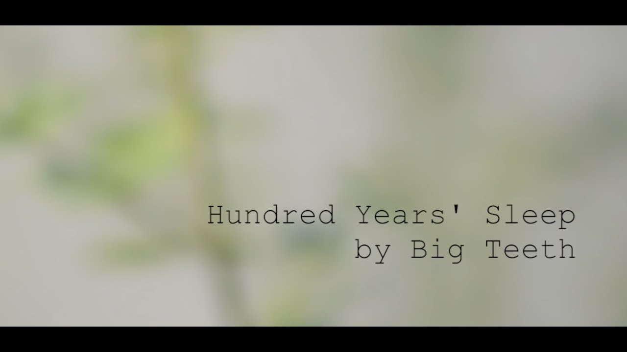 Hundred Years' Sleep, by Big Teeth