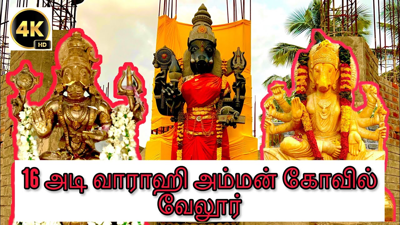 16 feet Varahi amman Dhuruva Ashramam Tristhalam pallikonda vellore | ஸ்ரீ வாராகி அம்மன் திரிஸ்தலம்