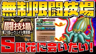 【ドラクエタクト】S才能開花キャラ求めて無制限闘技場へGO♪