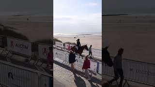 Beach Jumping Middelkerke 2025 #equestrian #horseriding #beach #horse