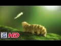 CGI 3D Animated Short: "Tardigradia – The Wild Little World" - by (IMA) Industrial Motion Art