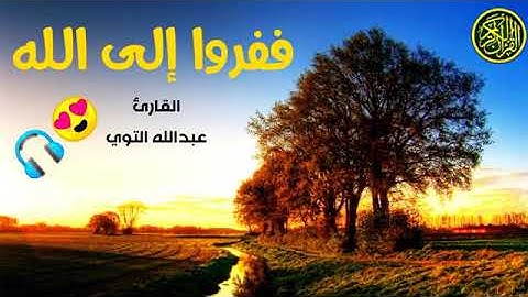 تلاوة خاشعة ترقق القلب|القارئ عبدالله التوي