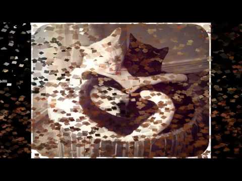 محتاجلك صدقيني خالد سليم