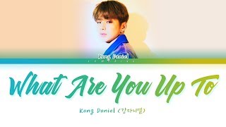 KANG DANIEL - What are you up to (강다니엘 - 뭐해) [Color Coded Lyrics/Han/Rom/Eng/가사]