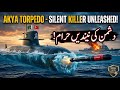 Pakistan Navy's New Power: How Turkey's AKYA Torpedo Transforms Hangor-Class Submarines