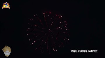 5inch Red Strobe Willow Display Shell Fireworks #fireworkstesting #fyp