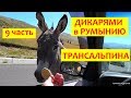 Дикарями в Румынию  / 9 часть / Трансальпина / Пещеры / Ночевка на реке