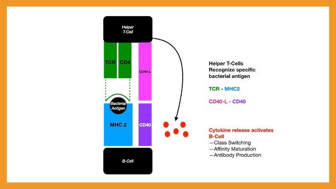 Sexclassmates com m Seks multfilm Scooby Du