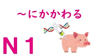 【Ｎ１文法】～にかかわる