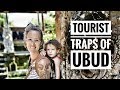 BEING BASIC A BASIC TOURIST IN UBUD