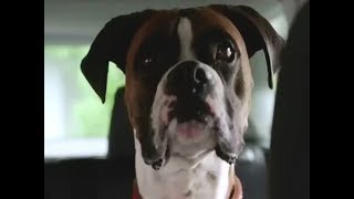 BMW Manufacturing Company The Veternary Appointment 2012 TV Commercial HD