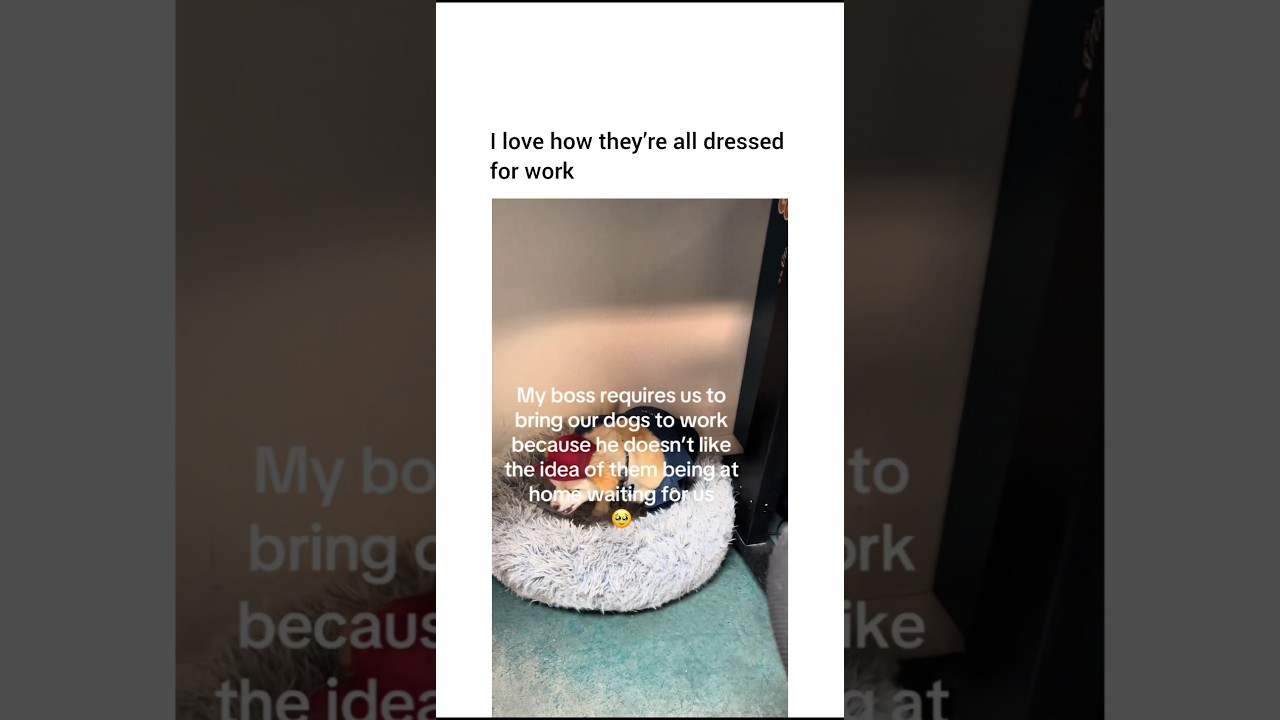 Здравствуйте, да, я хотел бы переслать свое резюме вашему руководителю. Заранее спасибо.