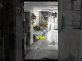 给我闹给我闹给我闹给我闹给我闹 狗狗 金毛 金毛小年 萌宠 养狗的乐趣1 给我闹给我闹给我闹给我闹给我闹 狗狗 金毛 金毛小年 萌宠 养狗的乐趣1