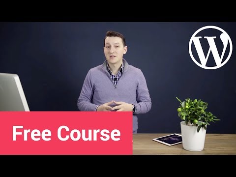 A Beginner's Guide to WordPress