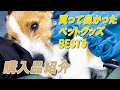 【祝10本記念】購入品紹介！初めて仔犬を迎える時に買って良かったペット用品ランキング‼厳選したベスト5！