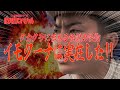 【密着】男性保育士の1日が想像を超えるほど激務だった