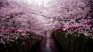 Jimmy Takeuchi - Drum Drum Drum - rock, pop, funk (late 60s, 70s