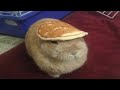 How to get the pancake tophat in find the tophats