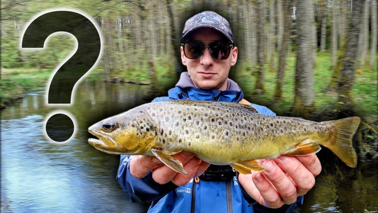 Na co ZŁOWIŁEM NAJWIĘCEJ RYB? 