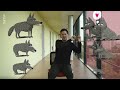 Brauchen wir den Alpha-Mann? | 42 - Die Antwort auf fast alles | ARTE