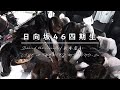日向坂46 11thシングル「君はハニーデュー」特典映像 日向坂46 四期生「Behind the scenes of 新参者 LIVE at THEATER MILANO-Za」ダイジェスト映像