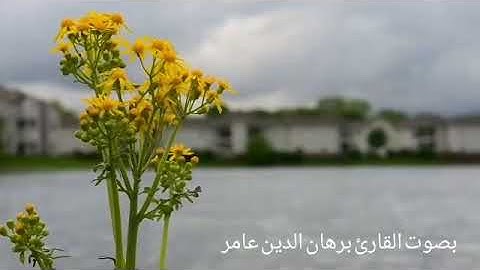 اللهم تول امرنا / القارئ برهان الدين