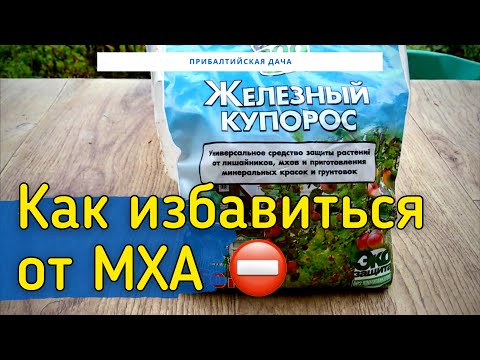 Как избавиться от Мха и Лишайников. Железный Купорос