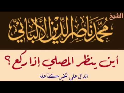 الشيخ الألباني : أين ينظر المصلي إذا ركع ؟