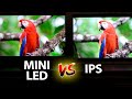 Mini LED vs IPS - Scar 16 vs Legion 5 Pro