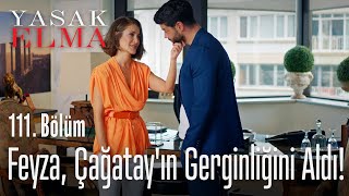 Feyza, Çağatay'ın gerginliğini aldı! - Yasak Elma 111. Bölüm