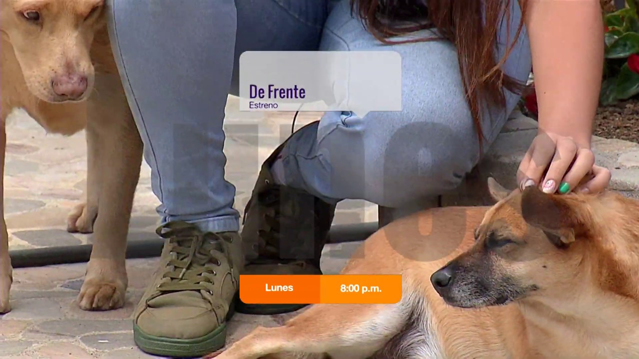De Frente: lunes 15 de julio camera iphone 8 plus apk