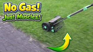 WORKPROX 16-Inch Push Reel Lawn Mower, full Review, Save On Gas, Get a Great Workout!