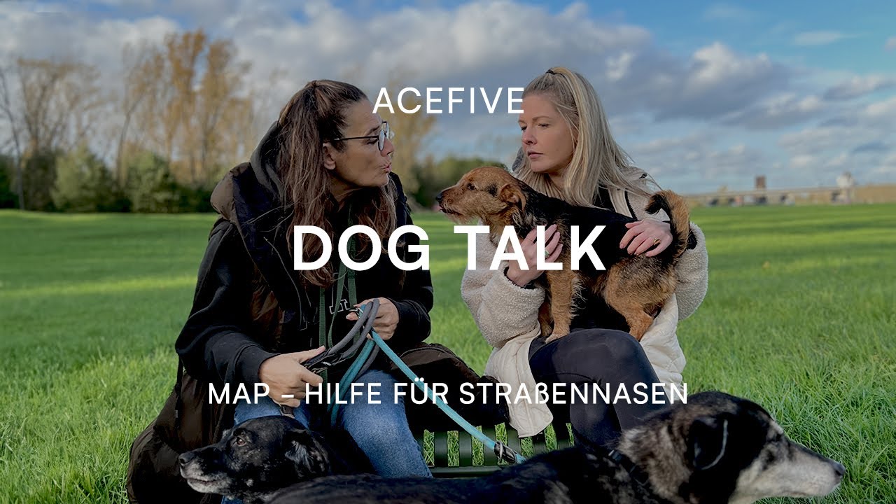 Map Hilfe Fur Strassennasen