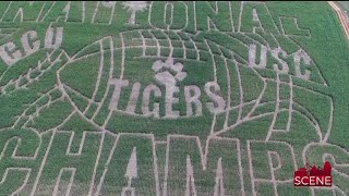 Denver Downs Corn Maze Honors SC Champions