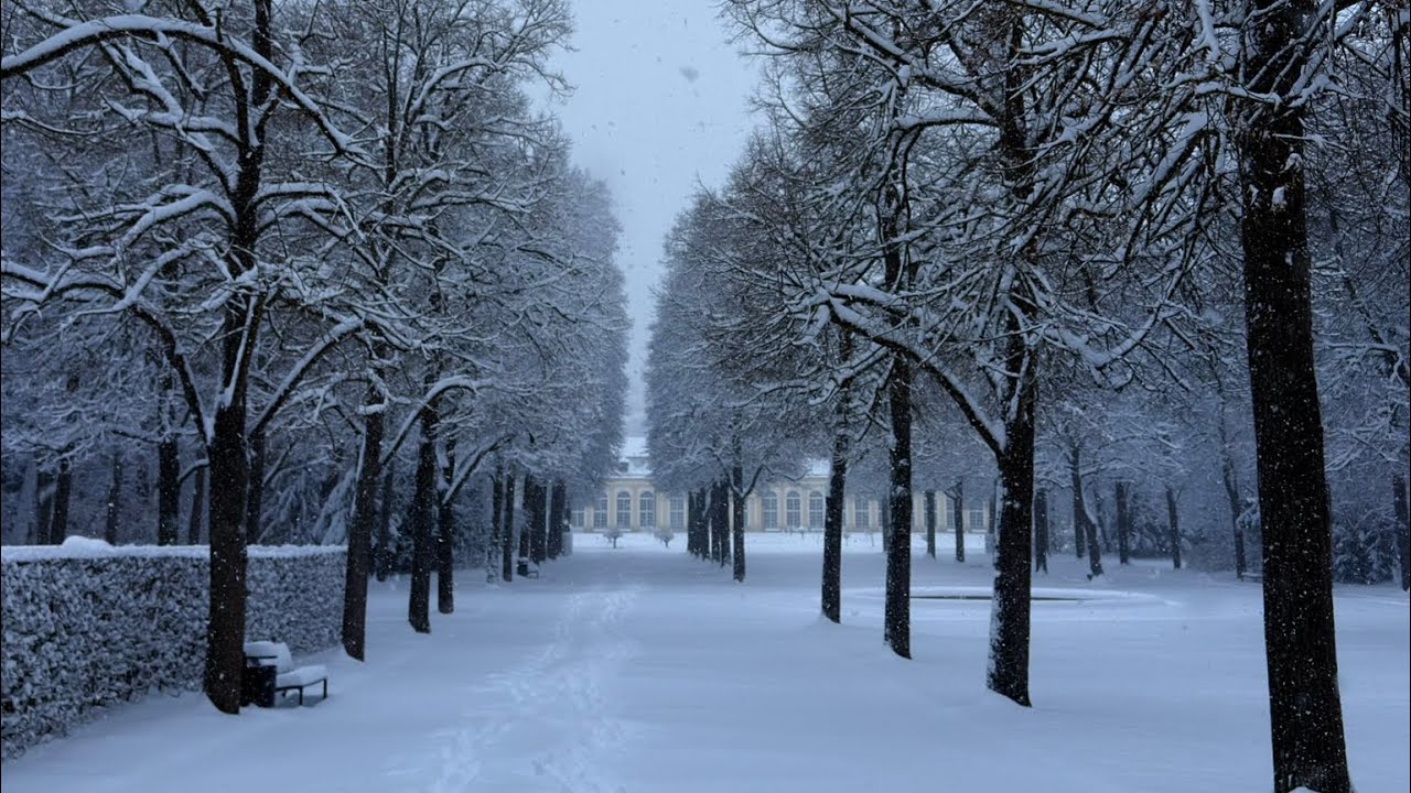 Schnee , Franken, Bayern Deutschland 4K 26.01.2026