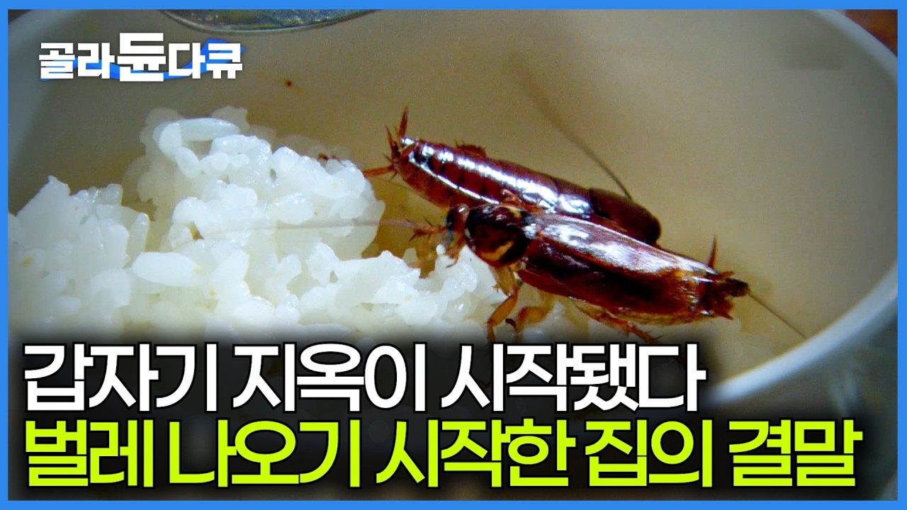 집에서 바퀴벌레가 나타나기 시작했다. 두려움에 방역 업체를 불러봤더니｜해충 방제｜극한직업｜#골라듄다큐