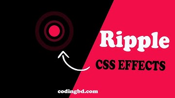 Ripple Effect in html & css | Coding BD