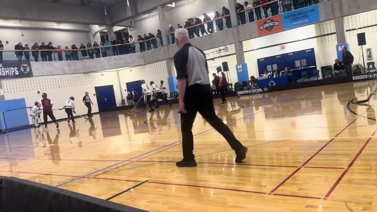 New Prague vs Prior Lake / Shakopee State tournament game 