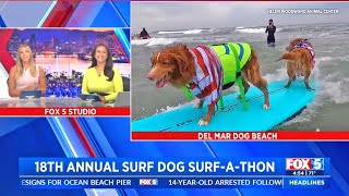 News anchors nationwide react to Surf Dog Surf-A-Thon by Helen Woodward Animal Center 1,001 views 7 months ago 3 minutes, 19 seconds