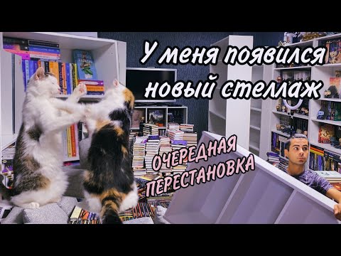 Новый 15-й стеллаж в домашней библиотеке | Очередная перестановка