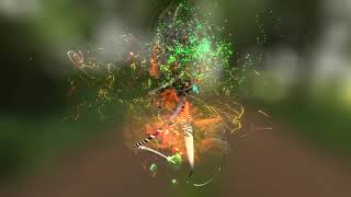 Nightingale & Canary - Full HD Version - Bird sounds visualized by Andy Thomas