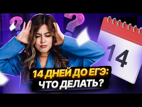 14 дней до ЕГЭ: что делать? | Литература ЕГЭ 2023 | Умскул