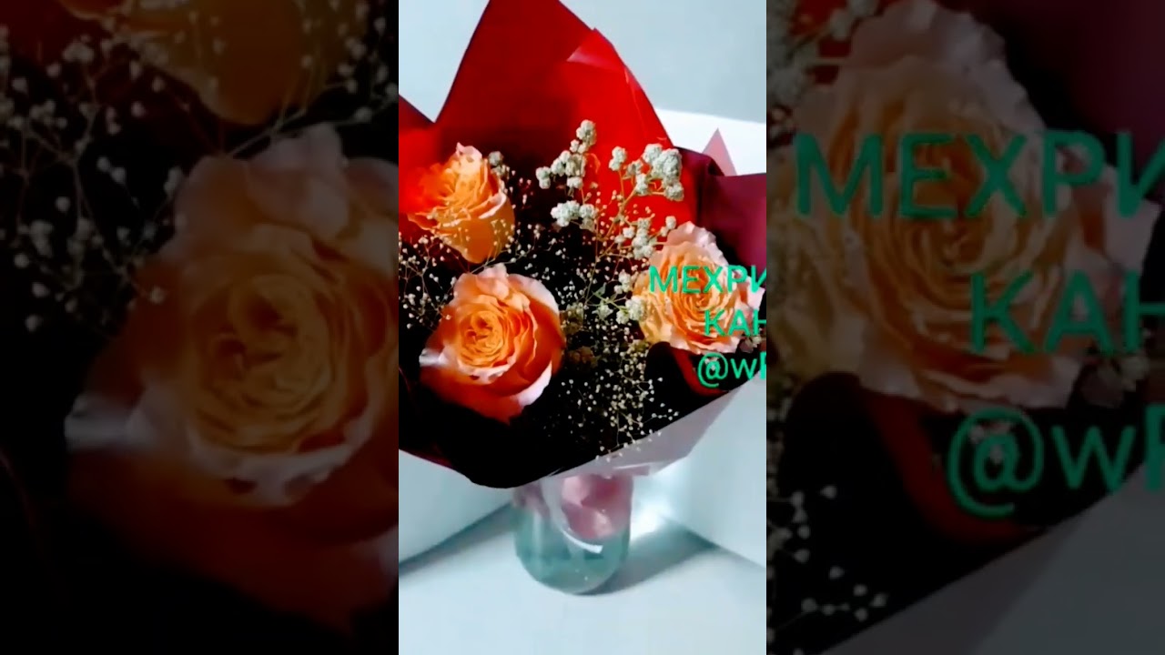 20 сентября 2023 г.