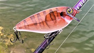 West Coast RedWood CrankBait  One Day Build to Catch 