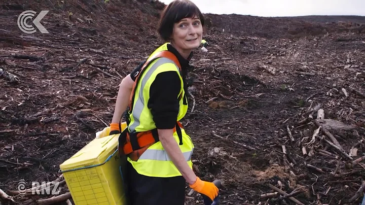 How hard is it to plant trees for a living? Lisa O...